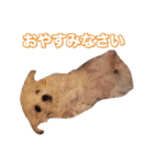 mix犬組（個別スタンプ：19）