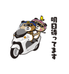 Yaedora（個別スタンプ：30）