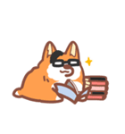 Editor Corgi（個別スタンプ：1）