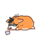 Editor Corgi（個別スタンプ：7）