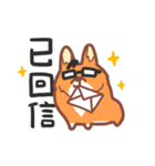 Editor Corgi（個別スタンプ：9）