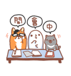 Editor Corgi（個別スタンプ：10）