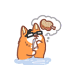 Editor Corgi（個別スタンプ：14）