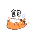 Editor Corgi（個別スタンプ：15）