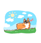 Editor Corgi（個別スタンプ：18）