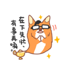 Editor Corgi（個別スタンプ：19）