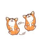 Editor Corgi（個別スタンプ：20）