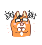 Editor Corgi（個別スタンプ：24）