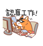 Editor Corgi（個別スタンプ：26）