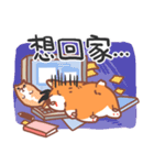 Editor Corgi（個別スタンプ：27）