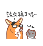 Editor Corgi（個別スタンプ：29）