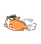 Editor Corgi（個別スタンプ：33）