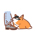 Editor Corgi（個別スタンプ：36）