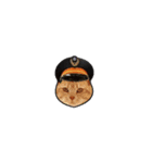 TRA:Meow（個別スタンプ：3）