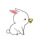 人と犬とうさぎ～日常～（個別スタンプ：16）