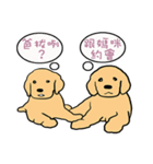 Puppy dog 0329（個別スタンプ：5）