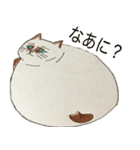 キャットDX（個別スタンプ：7）