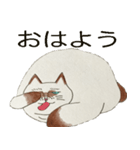 キャットDX（個別スタンプ：32）