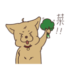 HYA Feeding Project 2（個別スタンプ：12）