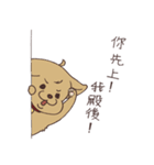 HYA Feeding Project 2（個別スタンプ：14）