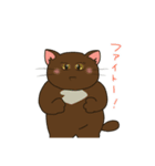 ネコだけど頑張ってたりする 日常編（個別スタンプ：29）
