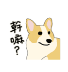 SCOTTY.T PART2（個別スタンプ：33）