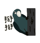 SCOTTY.T PART2（個別スタンプ：35）
