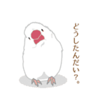 みんなのとりさん ver.02（個別スタンプ：25）