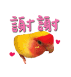The cats of the daily life - the first（個別スタンプ：24）