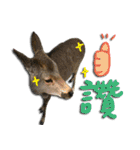 The cats of the daily life - the first（個別スタンプ：25）