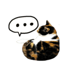 The cats of the daily life - the first（個別スタンプ：26）