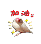The cats of the daily life - the first（個別スタンプ：29）