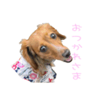 らいなのスタンプ、第二弾（個別スタンプ：3）