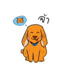 ClumsyKaolad（個別スタンプ：36）