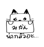 Cats square face（個別スタンプ：1）