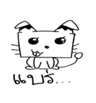 Cats square face（個別スタンプ：2）