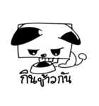 Cats square face（個別スタンプ：3）
