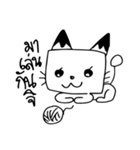 Cats square face（個別スタンプ：4）