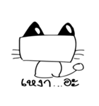 Cats square face（個別スタンプ：6）
