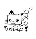 Cats square face（個別スタンプ：7）