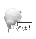 白うさぎのやとっしー 日常編（個別スタンプ：9）