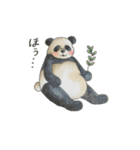 animals Friend over the World（個別スタンプ：15）