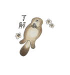 animals Friend over the World（個別スタンプ：17）