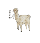animals Friend over the World（個別スタンプ：21）