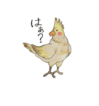 animals Friend over the World（個別スタンプ：27）