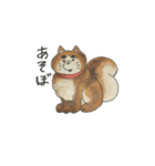 animals Friend over the World（個別スタンプ：36）