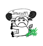 Original Buffalo（個別スタンプ：11）