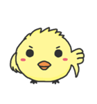A cute crazy chick（個別スタンプ：12）