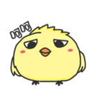 A cute crazy chick（個別スタンプ：15）