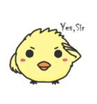 A cute crazy chick（個別スタンプ：17）